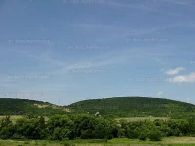 Eladó termőföld, szántó - Budakeszi, Külterület