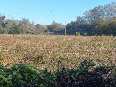 Tatabánya, eladó mezőgazdasági - Tatabánya, Komárom-Esztergom - Egyéb