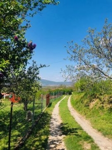 Eladó Telek, Baranya megye Keszü