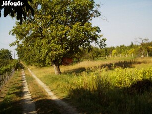 Csongradon öreg szölöben telek elado