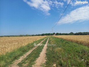 Eladó Fejlesztési terület, Csongrád