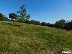 Panorámás gyümölcsös Balatongyörökön eladó!