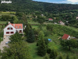 A Baji szőlőhegyen birtok eladó