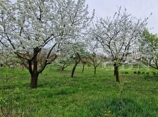 Pócsmegyer, ingatlan, telek, 27.900.000 Ft