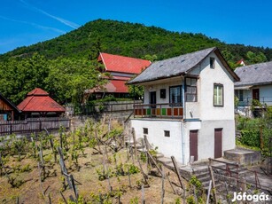 Sátoraljaújhely - gazdasági épület csodás panorámával