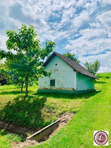 Eladó általános mezőgazdasági ingatlan - Orosztony, Zala megye