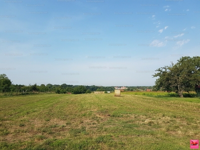 Eladó egyéb telek - Gárdony, Zártkert