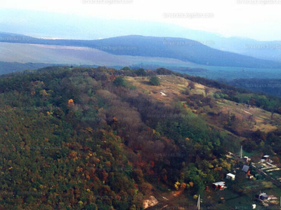 Eladó külterületi telek - Biatorbágy, Vadrózsa utca