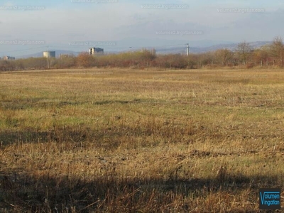 Eladó termőföld, szántó - Vác, Máriaudvar