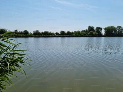 Eladó üdülőövezeti telek - Nagyrév, Holt-Tisza-part