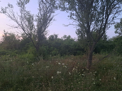 Kiadó általános mezőgazdasági ingatlan - Balatonfüred, Tihanyi műút