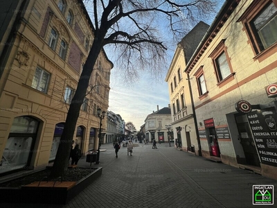 Kiadó utcai bejáratos üzlethelyiség - Győr, Belváros