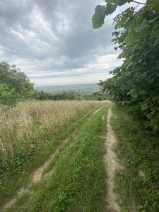 Baráthegy, Győrújbarát, ingatlan, telek, 8.000.000 Ft