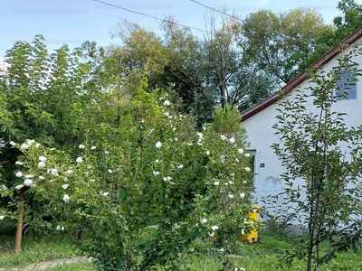 Eladó családi ház - Békéscsaba, Magyar utca