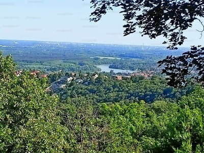 Eladó üdülőövezeti telek - Szentendre, Tyúkosdűlő