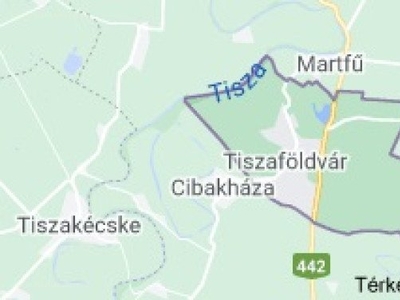 újépítésű, Tiszaföldvár, ingatlan, ház, 40 m2, 900.000 Ft