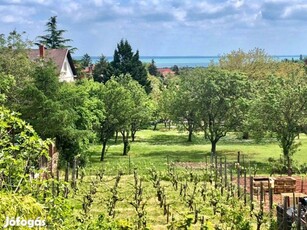 Panorámás családi ház eladó Balatonalmádiban!