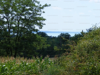 Eladó külterületi telek - Balatonkenese, Öreghegy