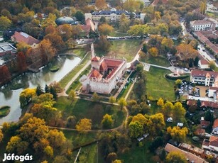 14453 nm-es telek eladó Gyula