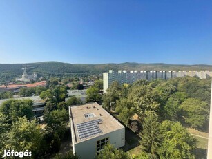 Eladó felújítandó lakás gyönyörű panorámával a 10. emeleten