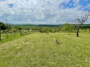 Eladó Külterületi telek Balatonszőlős