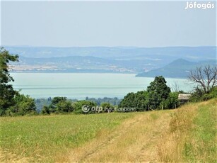 Eladó Mezőgazdasági, Kőröshegy