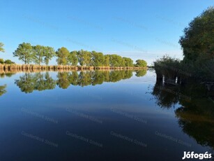 Eladó Szajol Holt-Tisza 1-es tónál közvetlen vízparti nyaraló