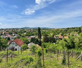 Eladó telek - Pécs