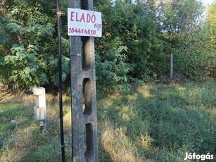 Szöllőskerti területek eladó.Nagybocskai szöllőskert kettes düllőbe