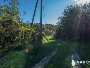 Vissza a természetbe, az erdő közepére, a domb tetejére