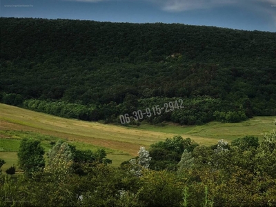 Alsópetény, ingatlan, mezőgazd. ingatlan, 7809 m2, 10.000.000 Ft