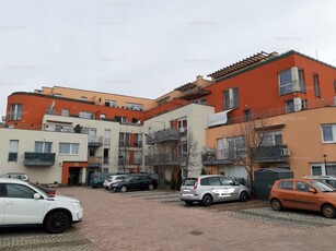 20. kerület, Szegfű utca