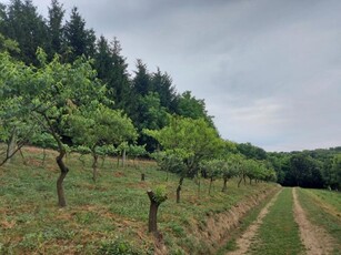 Eladó mezogazdasagi ingatlan Zalaegerszeg