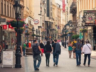 Kiadó utcai bejáratos üzlethelyiség - V. kerület, Váci utca