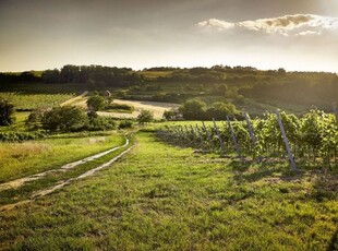 Eladó üzlethelyiség Kéthely, Balaton utca, földszint