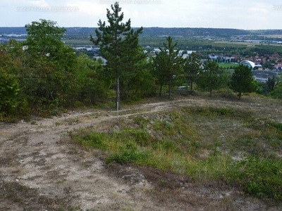 Eladó lakóövezeti telek - Budaörs, Úthegy