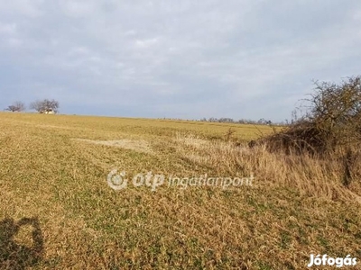 Eladó Paskom Zárkerti Telek, Bajna