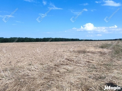 Zalaegerszeg, eladó mezőgazdasági