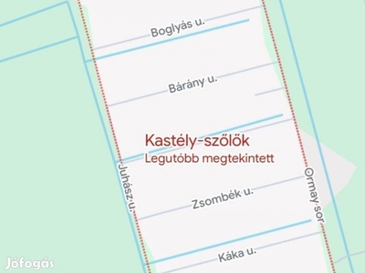 Zárt kert kastély szőlő