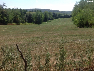 20,6 ha Szántó eladó - Balinka, Fejér - Termőföld