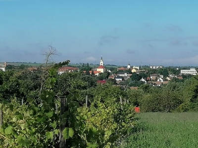 Eladó családi házBicske, Galagonyás II. dűlő út