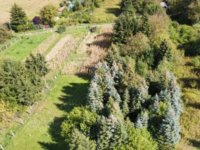 Eladó telek Zalaegerszeg