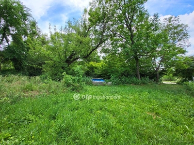 Balatonszabadi, ingatlan, mezőgazd. ingatlan, 770 m2, 5.400.000 Ft