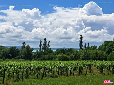 Eladó általános mezőgazdasági ingatlan - Balatonszepezd, Veszprém megye