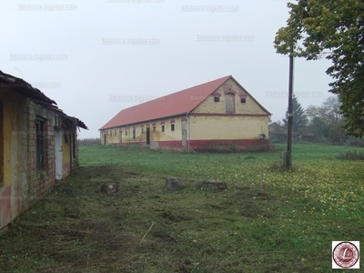 Eladó általános mezőgazdasági ingatlan - Somogyhárságy, Baranya megye