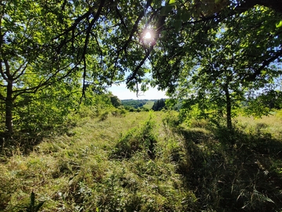 Eladó egyéb telek - Nagyrécse, Bacónakhegy