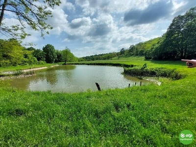 Eladó erdő - Ipolydamásd, Külterület