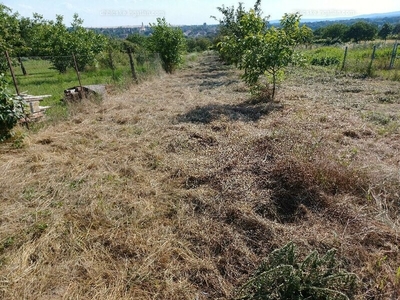 Eladó külterületi telek - Bicske, Galagonyás dűlő