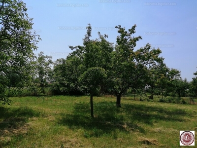 Eladó külterületi telek - Siófok, Töreki