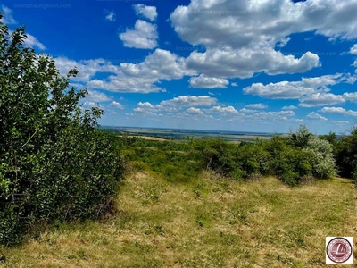 Eladó külterületi telek - Várpalota, Veszprém megye